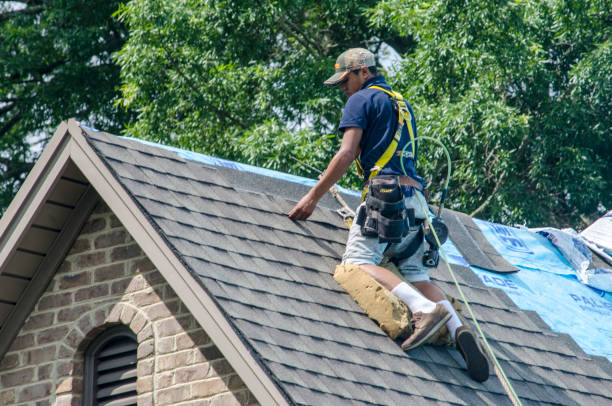 Best Slate Roofing Contractor  in Pacific, WA